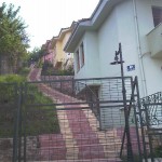 deniz (2)